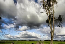 赛后本菲卡调整名单以备欧冠，止住颓势环节打磨，质疑声仍在，年轻球员得到机会的简单介绍